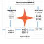 flowchart_kms.png