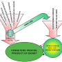 flowchart_verbeterproces.png